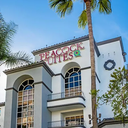 Peacock Suites-3
