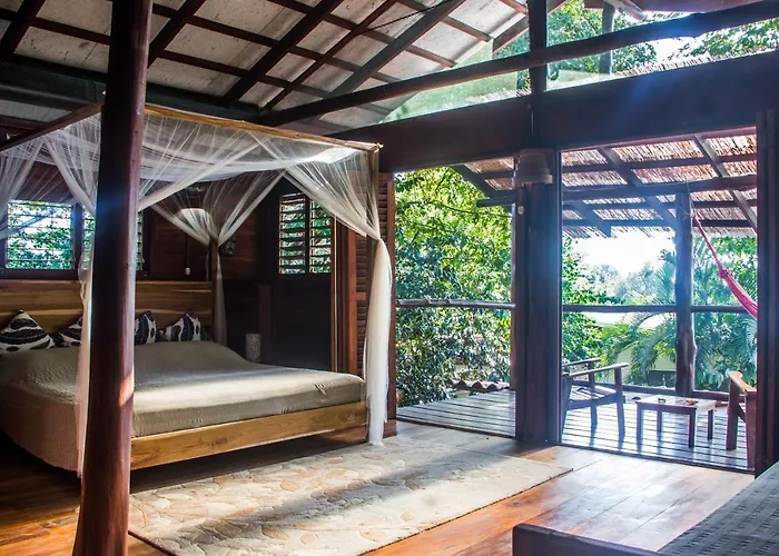 Funky Monkey Lodge