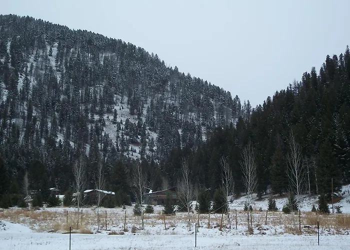 Terra Nova Cabins