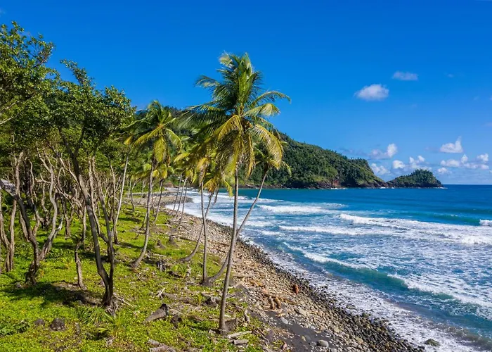 Rosalie Resorts