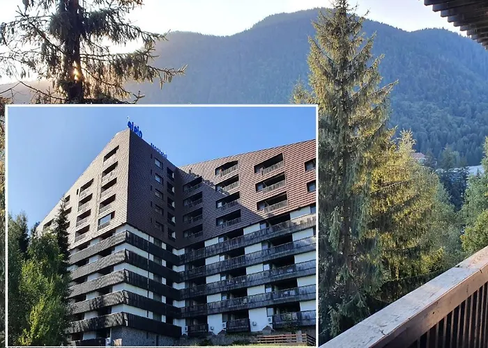 Apartament 2706 Alpin Resort, Etaj 7, Poiana Brasov