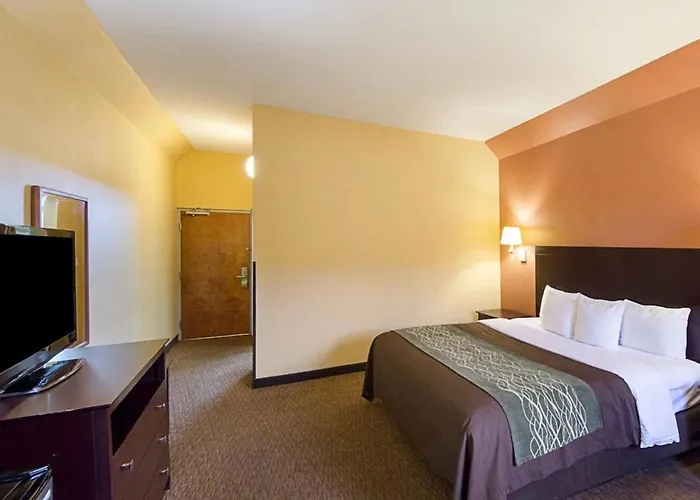 Shary Inn And Suites