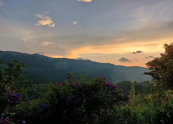 Vagamon Resorts