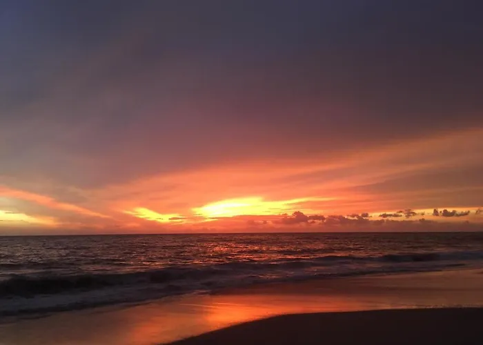 Alappuzha Resorts