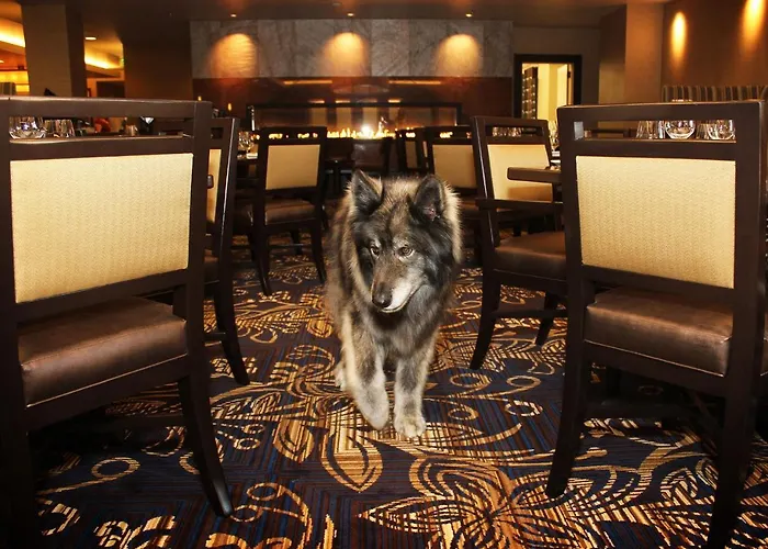 Jackson Rancheria Casino Resort