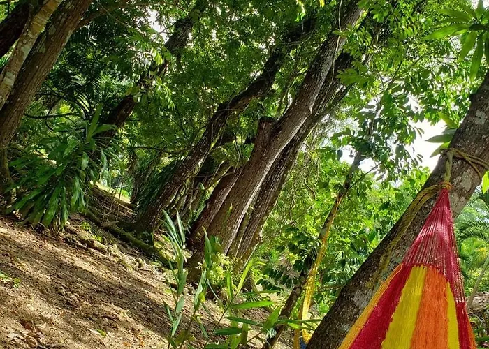Clarissa Falls Resort