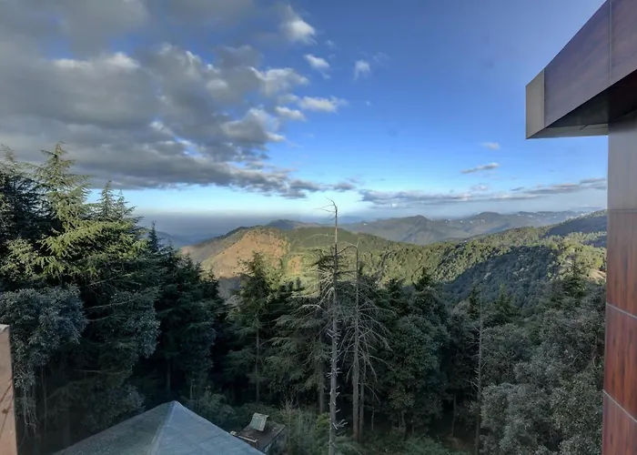 Tarika Resort & Spa , Chail