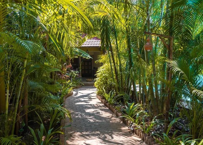 Justa Morjim Beach Resort Goa - 80 Steps From Morjim Beach
