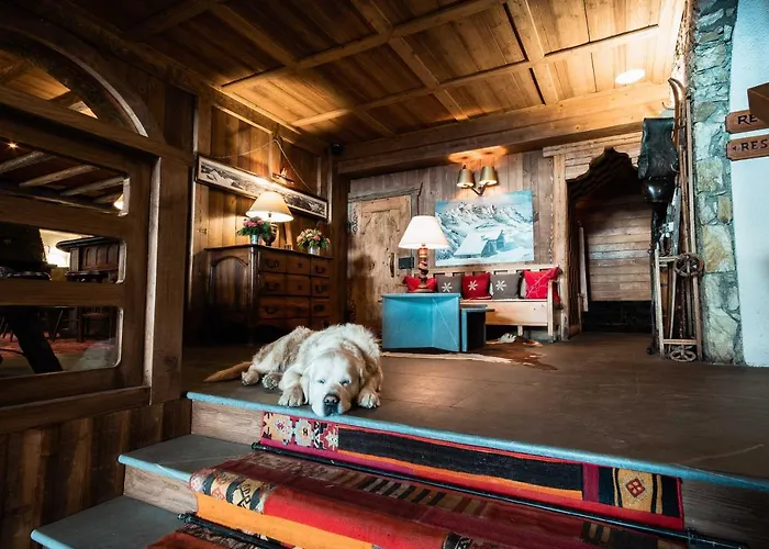 Hotel Le Blizzard