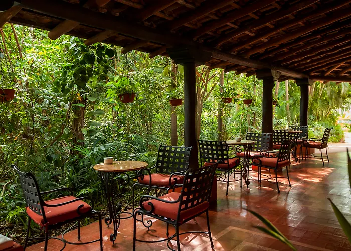 Occidental Cozumel