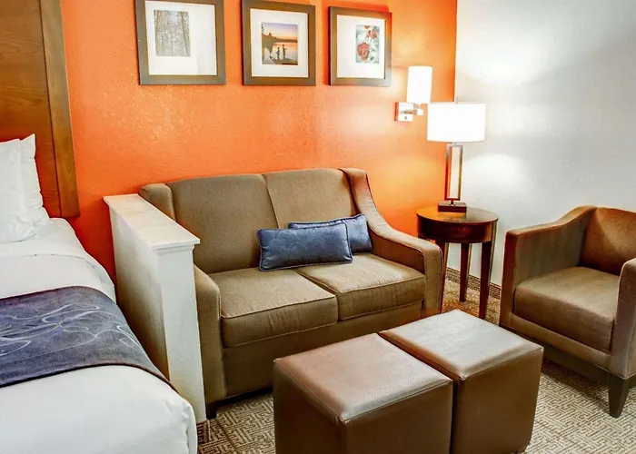 Comfort Suites Tyler South