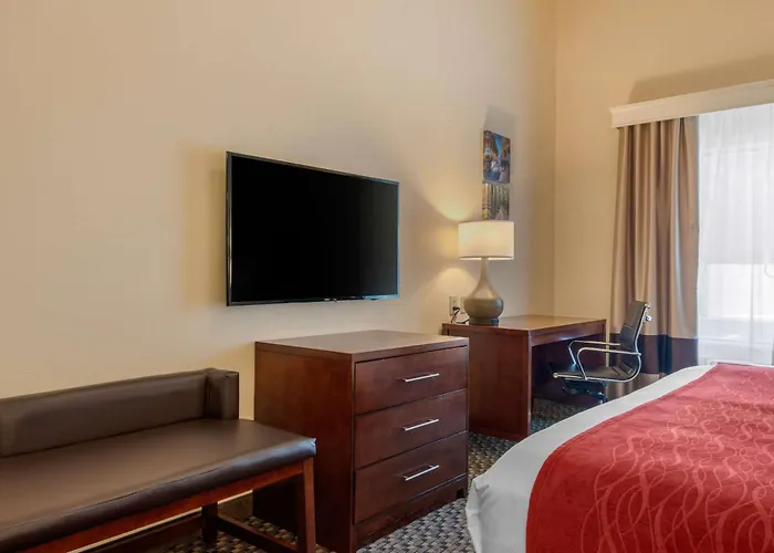 Comfort Inn & Suites Fort Myers Airport