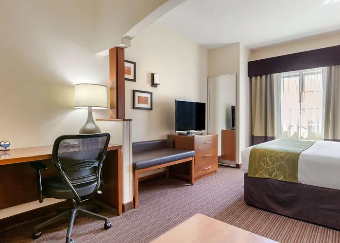 Comfort Suites Stevensville - St Joseph