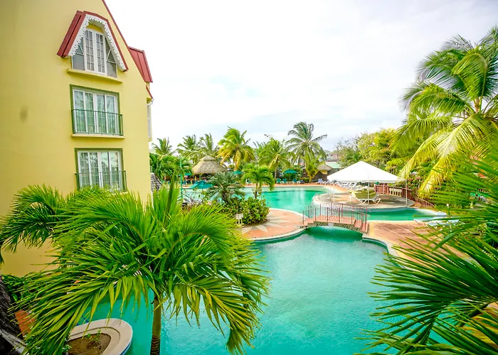 Coco Palm
