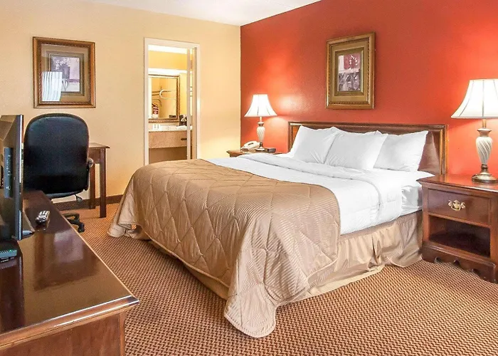 Clarion Inn & Suites University Center
