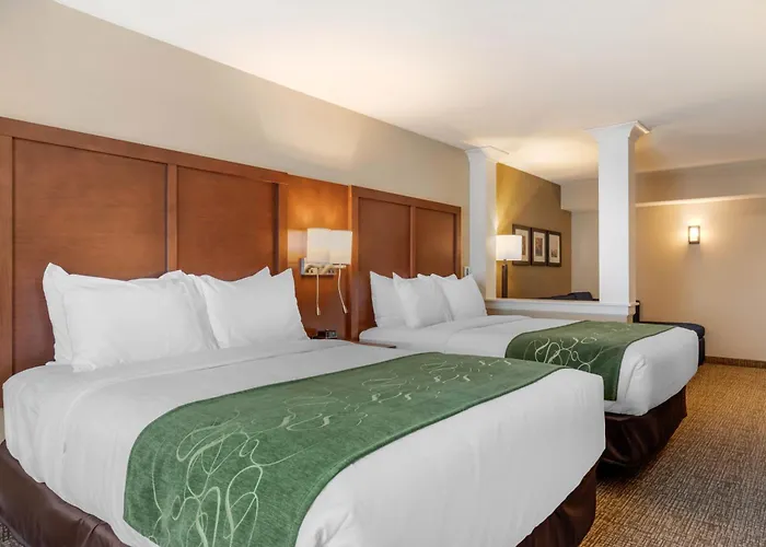 Comfort Inn & Suites Schenectady - Scotia