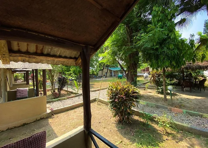 Nature Safari Camp