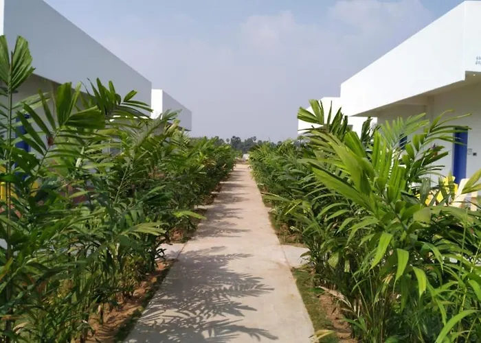 Chirala Resorts