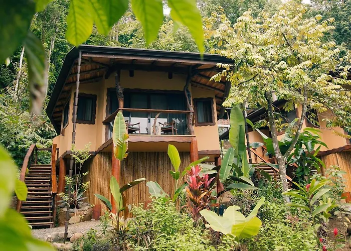 Selva Armonia Immersive Jungle Resort