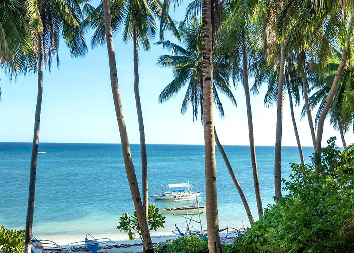 Three Little Birds Resort