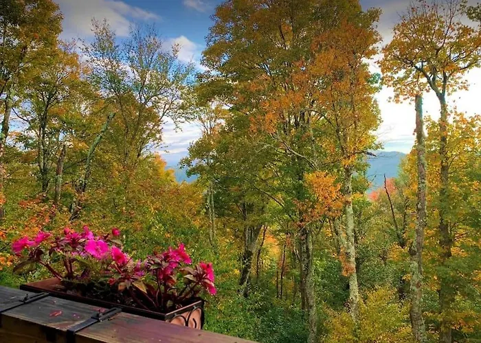 Sugar Mountain Resorts