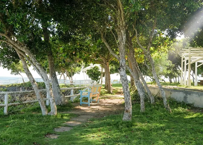 Maayo San Remigio
