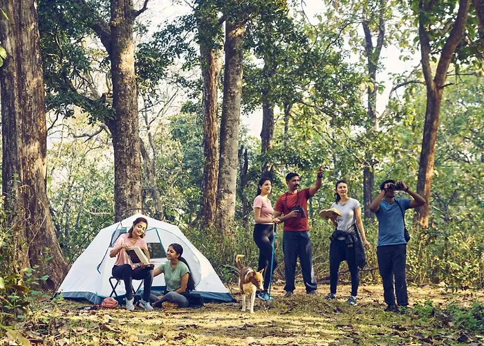 Whistling Woodzs Resort