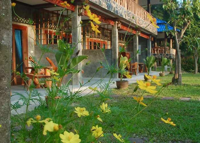 Wonderland Healing Center