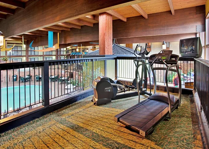 Holiday Inn At Six Flags Saint Louis By Ihg