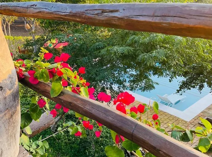 Mangal Beach Lodge