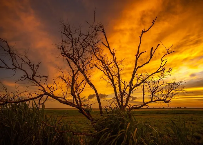 Finniss River Lodge