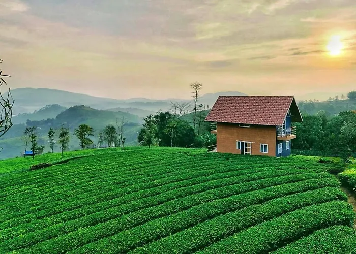 Cloud Canopy - Tea Garden Family Pool Cottage In Vagamon