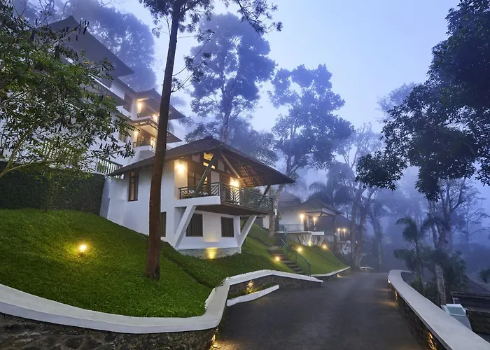 Forest Canopy Thekkady