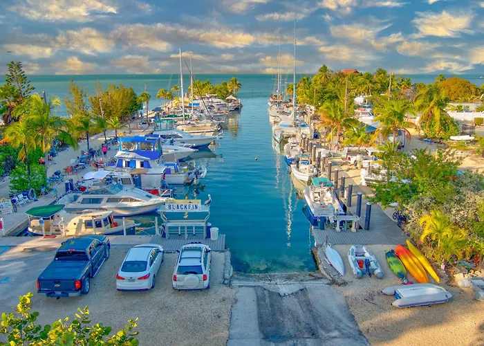 Blackfin Resort And Marina