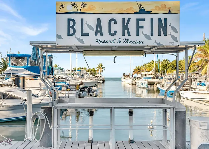 Blackfin Resort And Marina