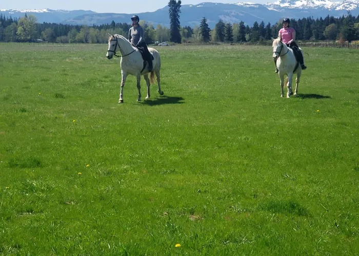 Paradise Acres Ranch