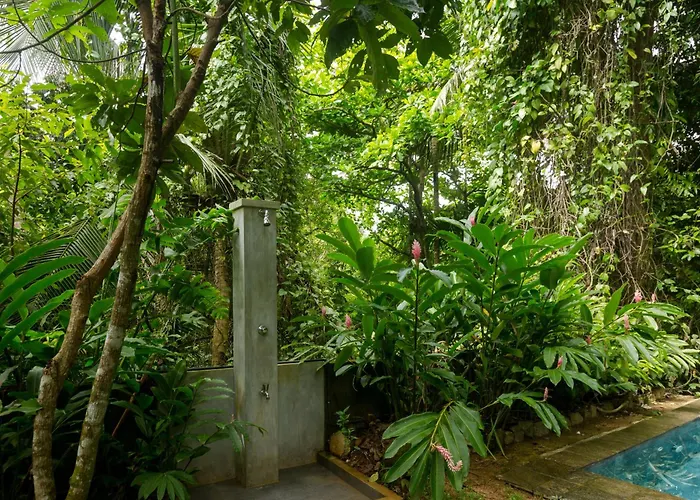 Ceylon Olive Galle