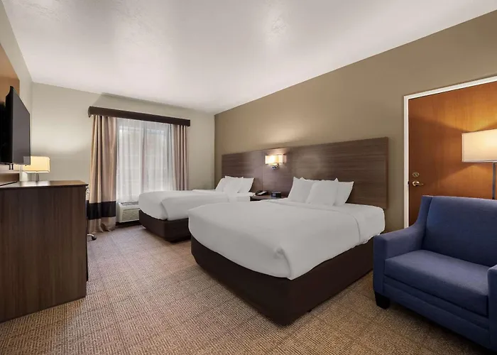 Comfort Inn & Suites Fenton