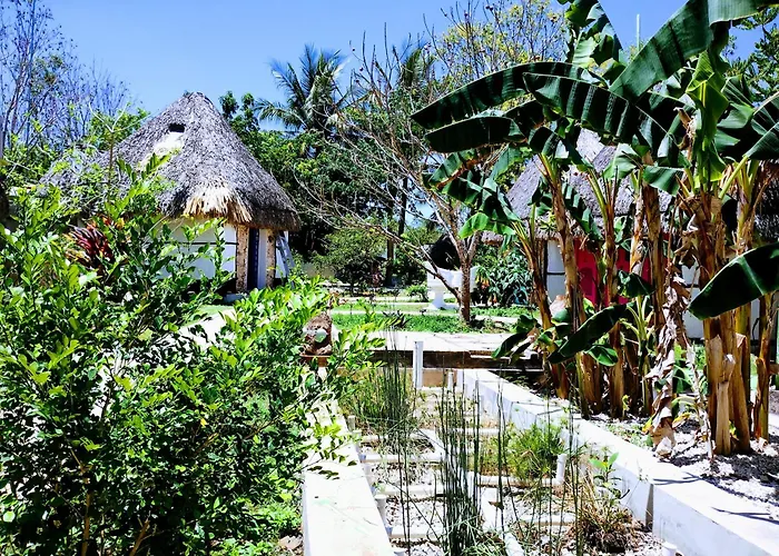 Hotel Y Museo Aldea Maya Toktli Origenes - Suite Casa Maya 3 Culturas - Alberca, Wifi Starlink, Tour Museo