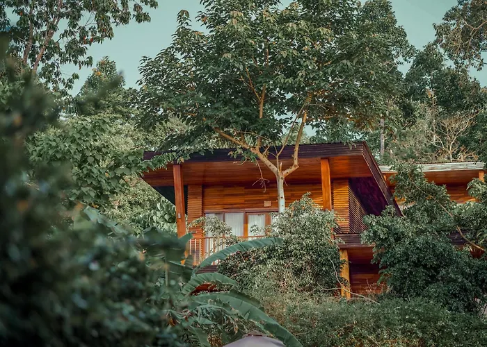 De Foret