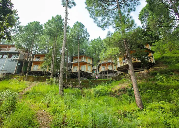 The Woods Retreat