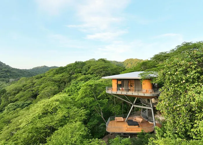 Suitree Experience Hotel