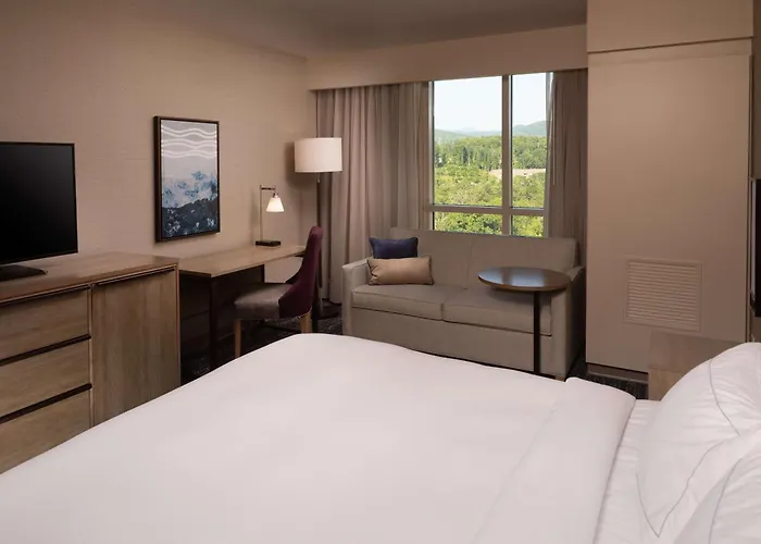 Hilton Asheville Biltmore Park