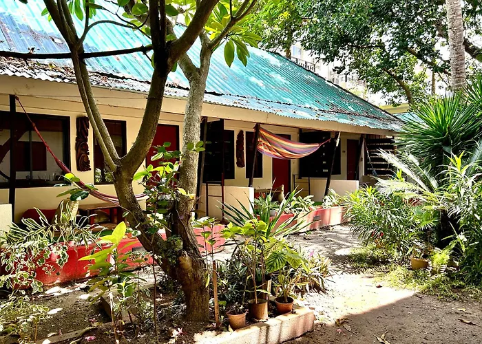 Lazy Dog Bed & Breakfast