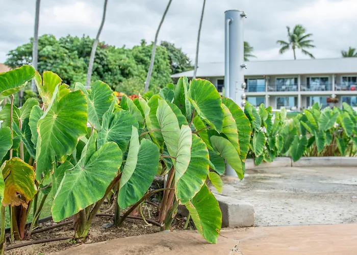 Napili Surf Beach Resort By Castle