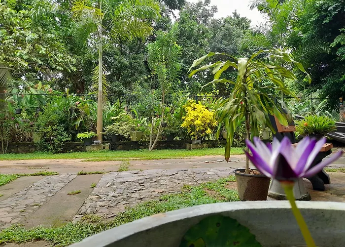 Ging View Villa