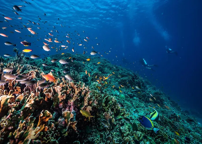 Trawangan Dive Centre