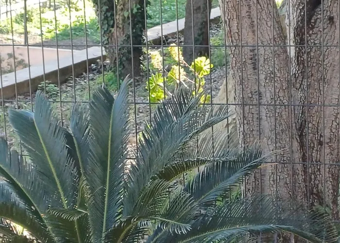 Hotel Casa Mea