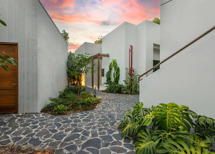 Botanika Osa Peninsula, Curio Collection By Hilton