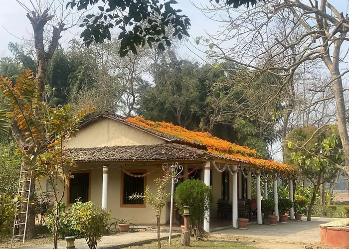 River Park International Resort